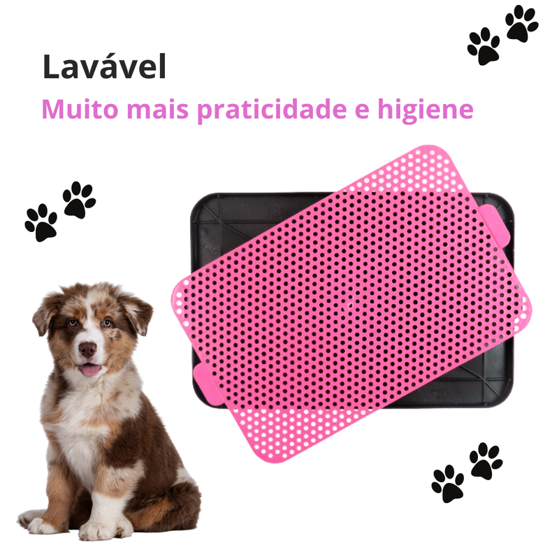 Sanitário Canino Pet Tapete Higiêncio Plástico Xixi Dog - Menplast